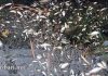 5 фирми глобени за изхвърлени отпадъци в язовир Пчелина