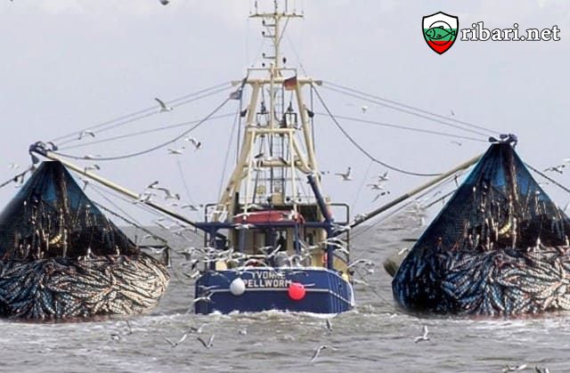 ribari.net: Глобален проблем с рибата на планетата 