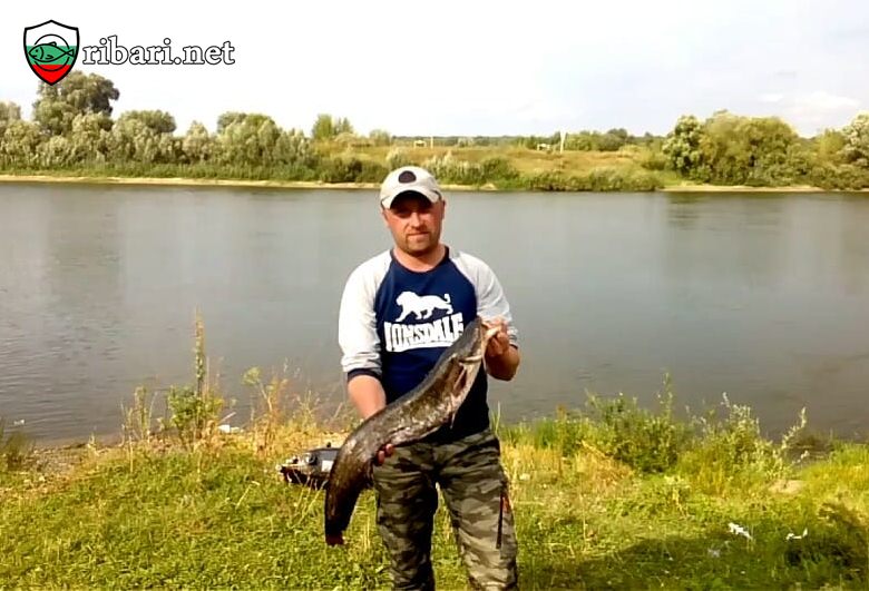  Риболовен туризъм в Русия на река Оке