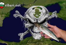 Черно море вече е мъртво море