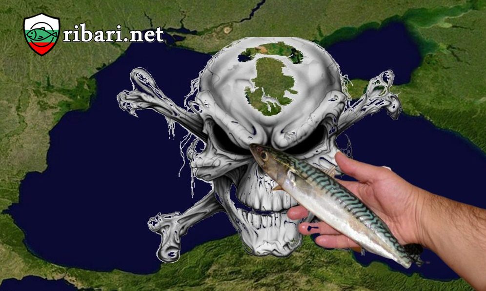 Черно море вече е мъртво море