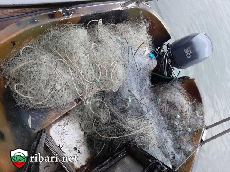 ИЗВАДИХА МРЕЖИ ОТ РЕКА ДУНАВ рибари.нет