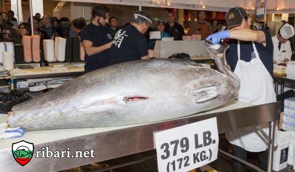 Синя риба тон за 1 млн. паунда