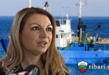 д-р Лозана Василева: Програма Морско дело е в ход