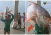 Рибар хвана 30-килограмова риба луна