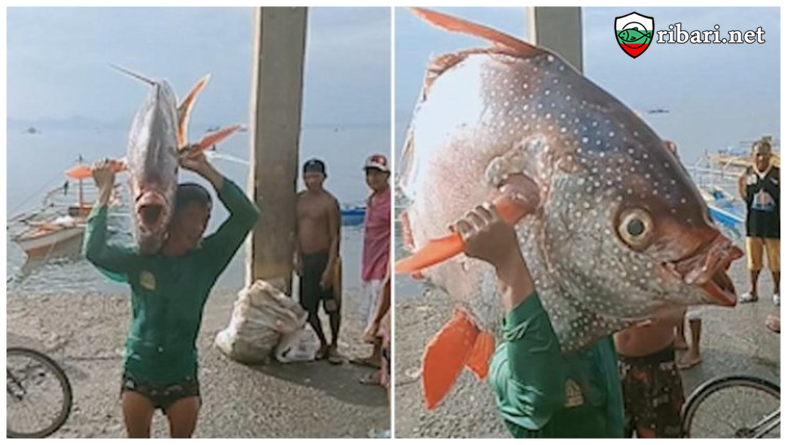 Рибар хвана 30-килограмова риба луна 