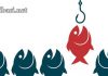 ИАРА - Изпълнителна агенция по рибарство и аквакултури с важно съобщение