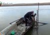 Рибари недоволстват: В Румъния ловят, при нас удължиха забраната