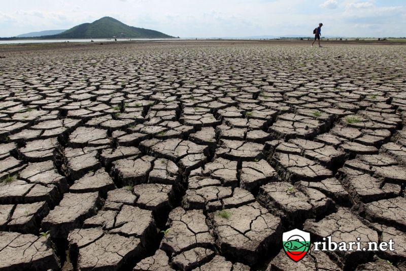 Климатът до 2070 г. – милиарди заплашени от горещини